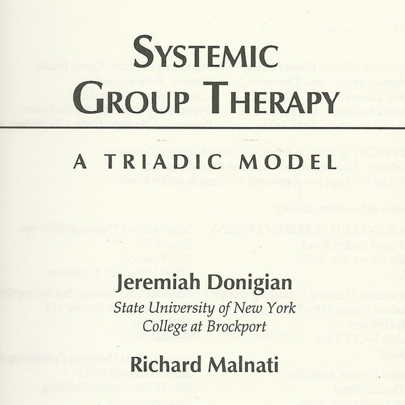 Systemic Group Therapy: A Triadic Model - 1st Edition - Picture 2 of 3